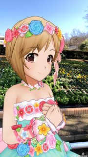 IMG_0038.PNG