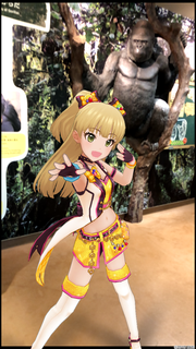 IMG_0050.PNG