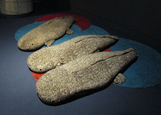 IMG_2773.jpg